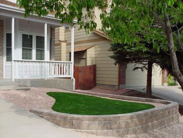 Artificial Grass Photos: Synthetic Pet Grass West Athens California Back and Front Yard